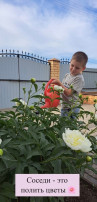 День соседей День соседей.