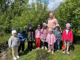 Международная акция "Сад Памяти" Международная акция "Сад Памяти".