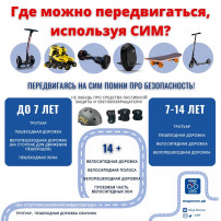 Средства индивидуальной мобильности Средства индивидуальной мобильности.